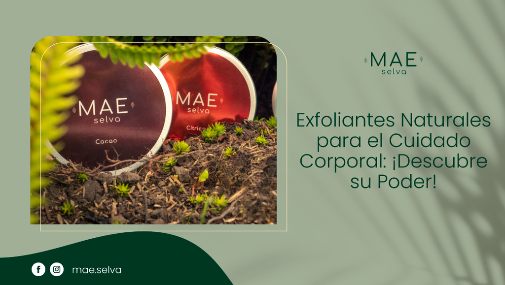 Exfoliantes Naturales para el Cuidado Corporal: ¡Descubre su Poder!
